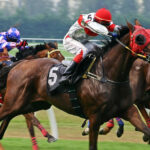 Horse Racing